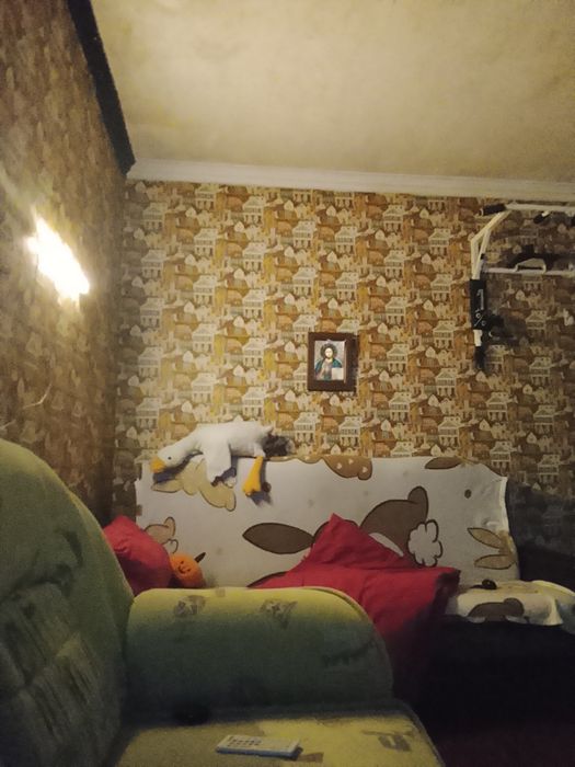 Квартира на ориентир Библиотека в Запоріжжі, ID 255200, фото №11
