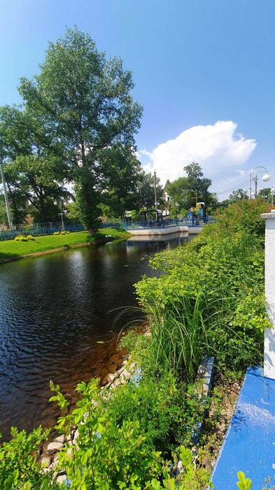 Квартира на вул. Центральна, 19 в Києві, ID 493386, фото №12