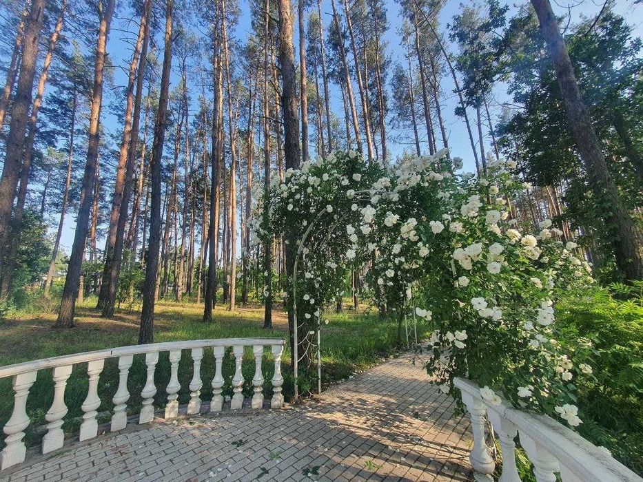 Квартира на ЖК Соборний в Києві, ID 329680, фото №19
