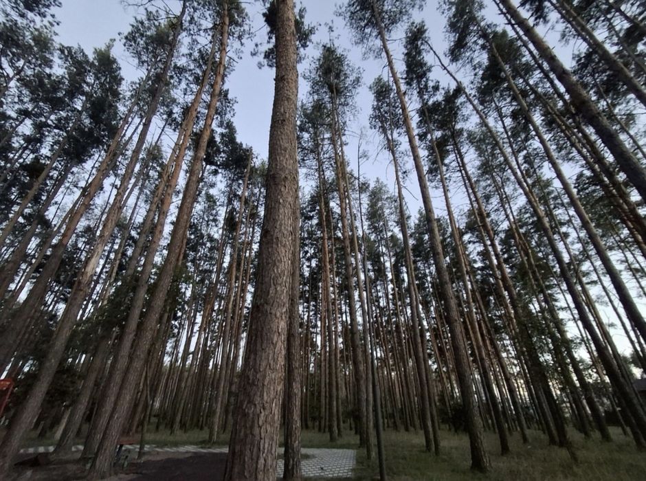 Квартира на вул. Мисливська в Києві, ID 307215, фото №14