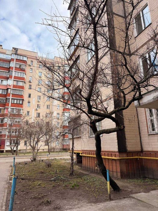 Квартира на просп. Червоної Калини, 63А в Києві, ID 162363, фото №16