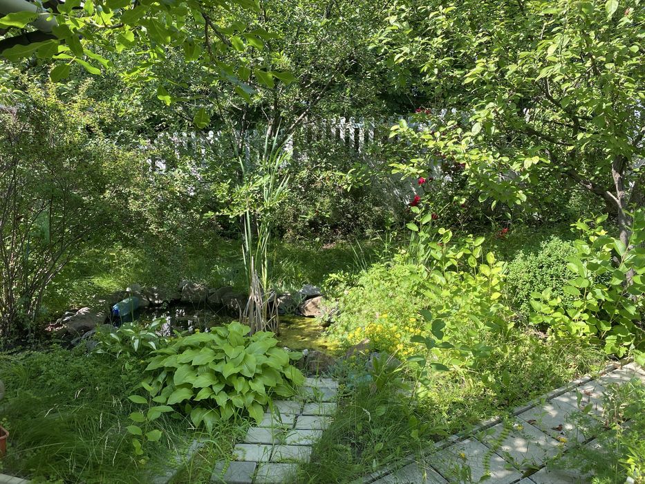 Будинок, Дергачі у Харківській області, ID 422050, фото №6