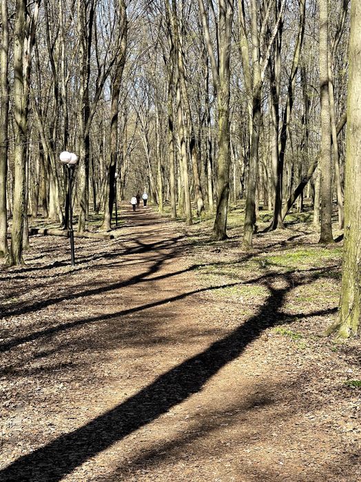 Квартира на ЖК Теремки в Києві, ID 169308, фото №21