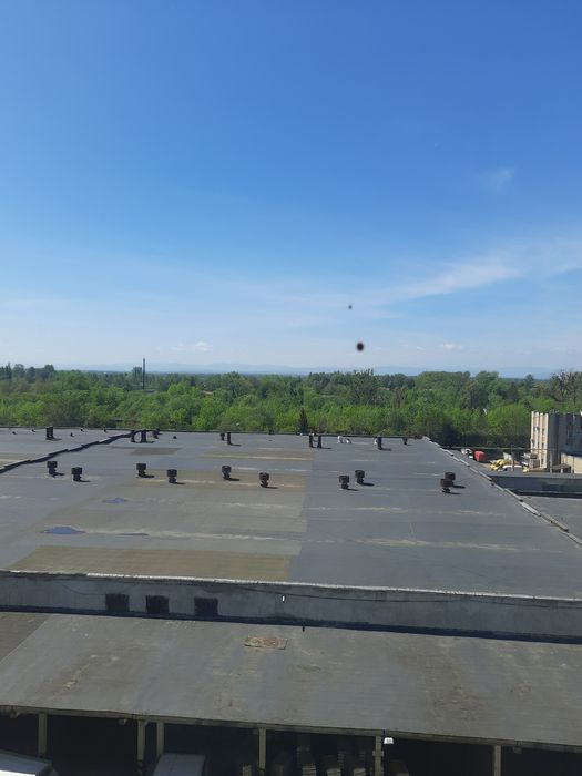 Квартира в Івано-Франківську, ID 252965, фото №4