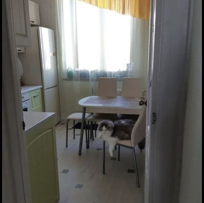 Квартира на Паркова 8 в Краматорськ, ID 297817, фото №1