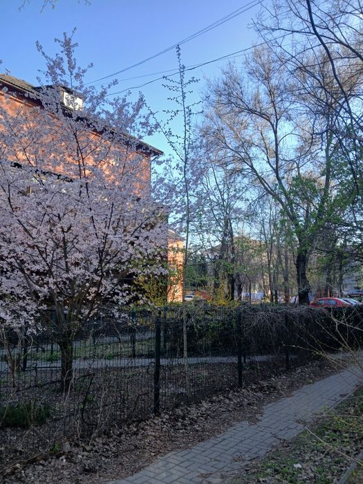 Квартира на Вознесенівський, ID 479023, фото №1