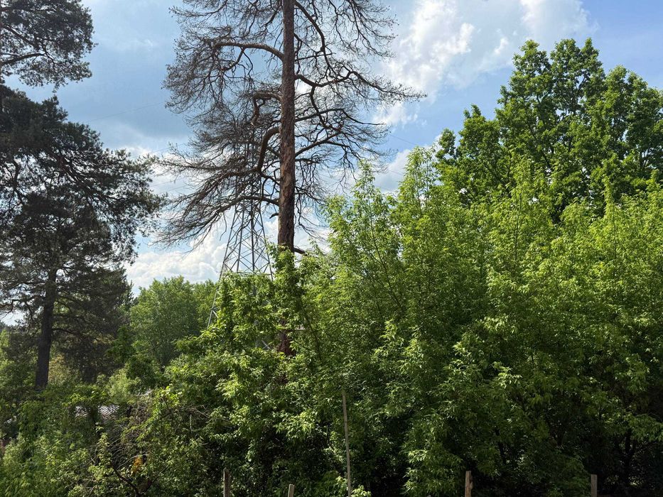 Квартира на ЖК Тетерівський Бульвар в Житомирі, ID 227677, фото №9
