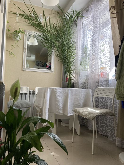 Квартира на вул. Прохоровська в Одесі, ID 255313, фото №20
