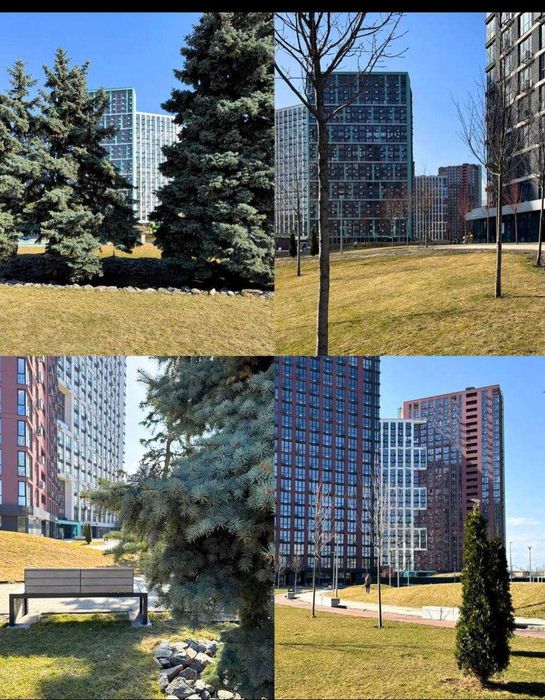 Квартира на ЖК Діброва Парк в Києві, ID 368383, фото №6