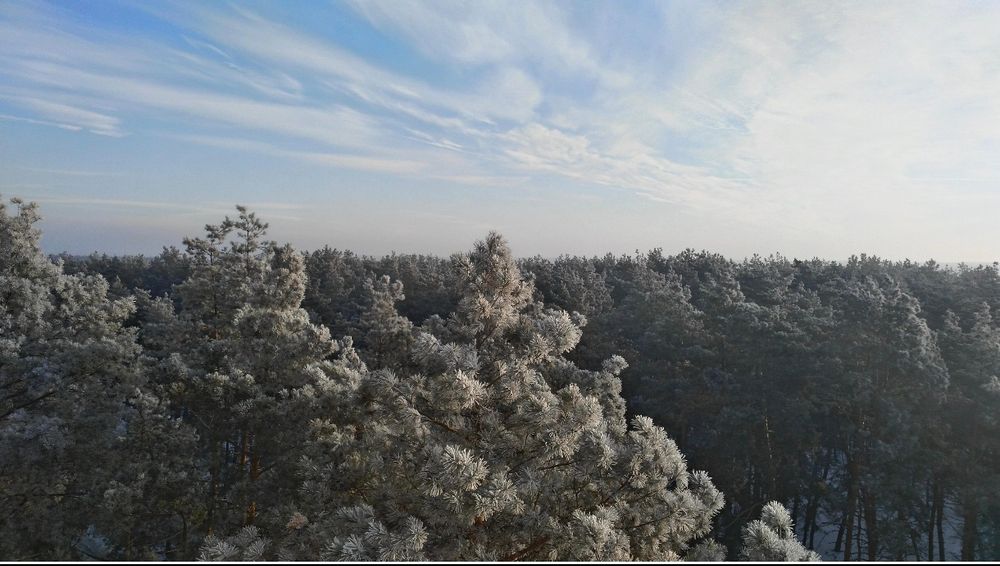 Квартира на біля метро Академмістечко в Києві, ID 256517, фото №20