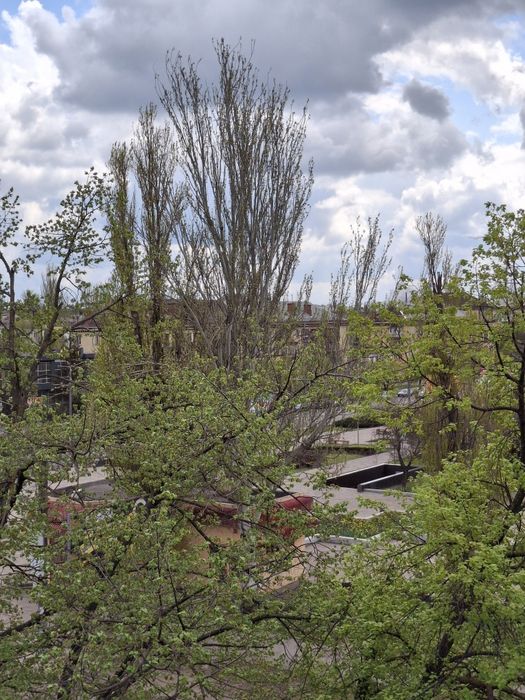 Квартира на вул. Соборності, 27 в Кривому Розі, ID 203533, фото №3