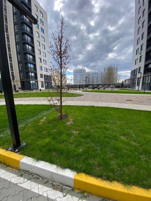 Квартира на ЖК Континент Рей в Київ, ID 355311, фото №2