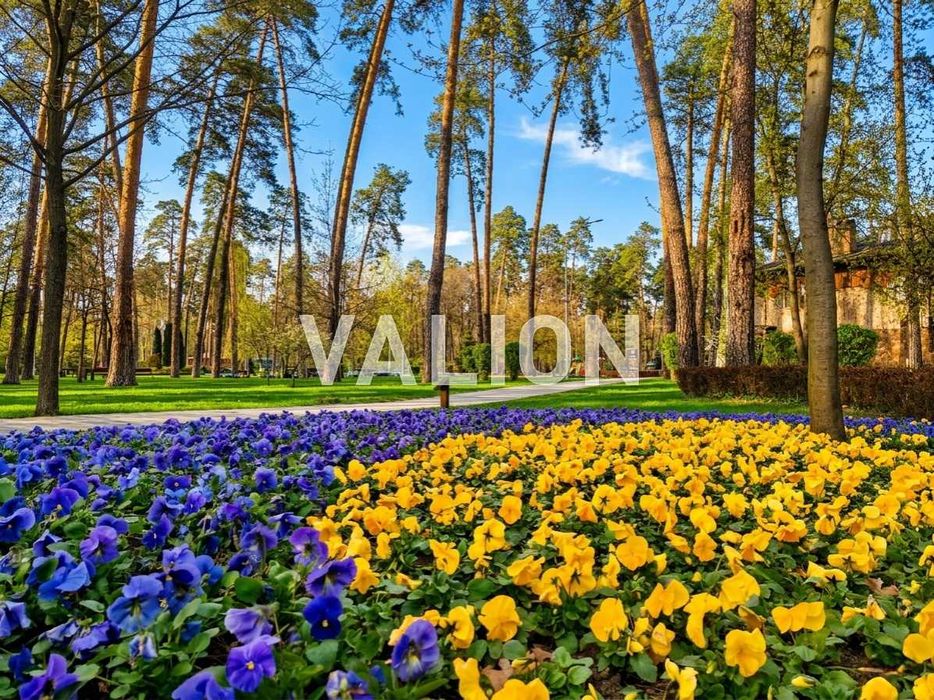 Квартира на вул. Вінграновського, 2 в Києві, ID 167168, фото №24