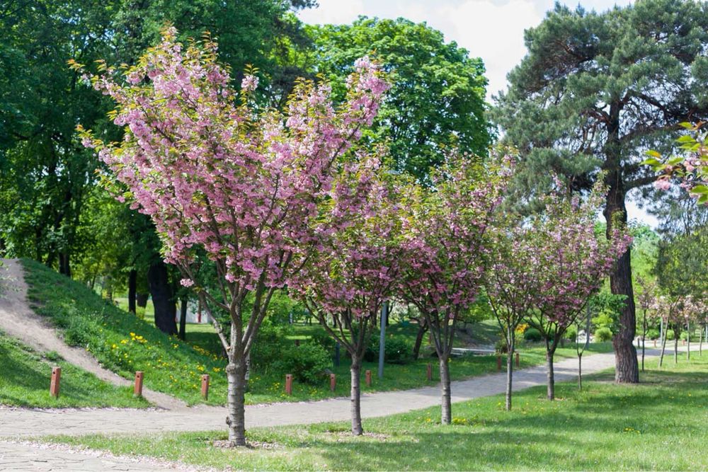 Квартира на вул. Кубанської України в Києві, ID 175176, фото №11