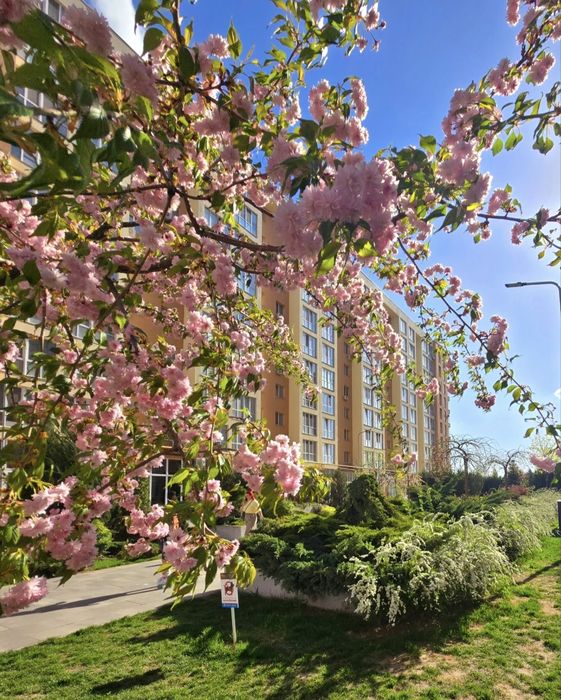Квартира на вул. Соборна, 126/2 в Києві, ID 259388, фото №12