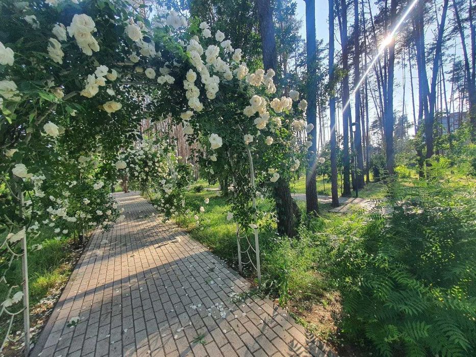 Квартира на ЖК Соборний в Києві, ID 307447, фото №20