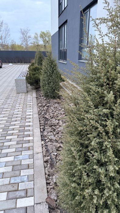Квартира на ЖК Sensation в Києві, ID 256549, фото №15