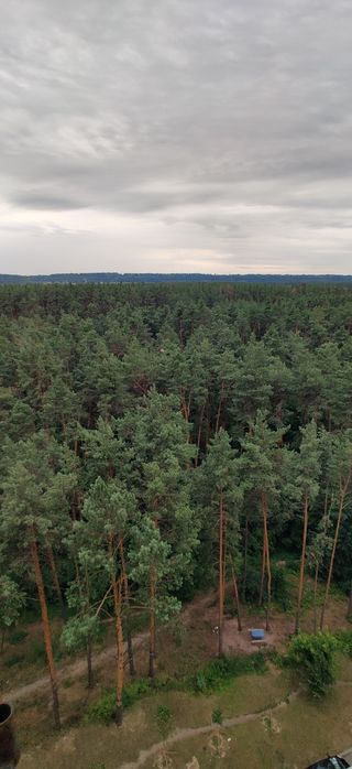 Квартира на вул. Будівельників в Києві, ID 311439, фото №2