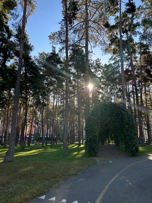 Квартира на поруч із Центральний парк Ірпеня в Києві, ID 248520, фото №20