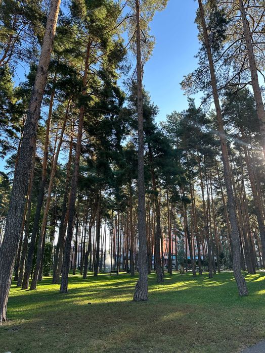 Квартира на поруч із Центральний парк Ірпеня в Києві, ID 248520, фото №21