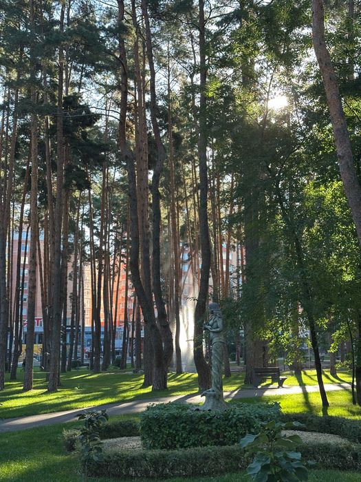 Квартира на поруч із Центральний парк Ірпеня в Києві, ID 248520, фото №22