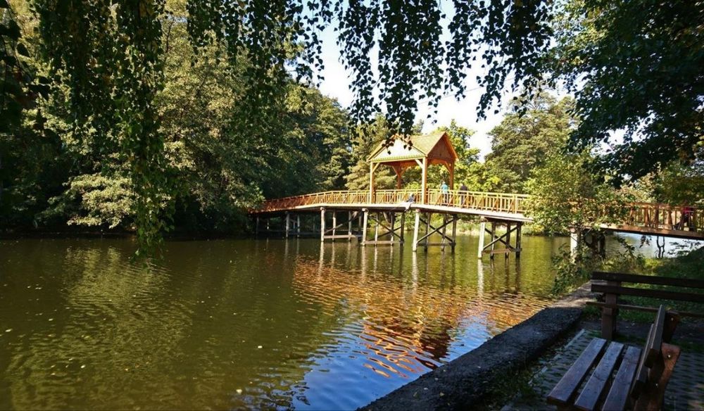 Квартира на вул. Квітки Цісик, 32 в Києві, ID 206783, фото №5