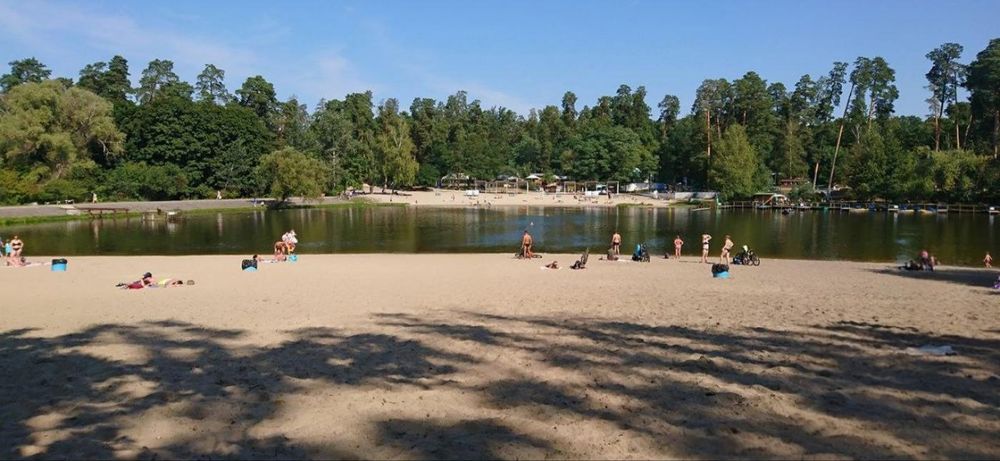 Квартира на вул. Квітки Цісик, 32 в Києві, ID 206783, фото №6