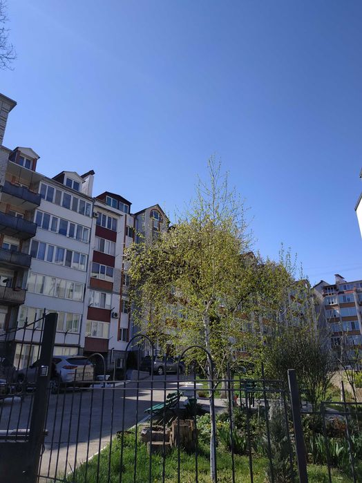 Квартира — Чорноморськ, Одеська область в Одесі, ID 338998, фото №18