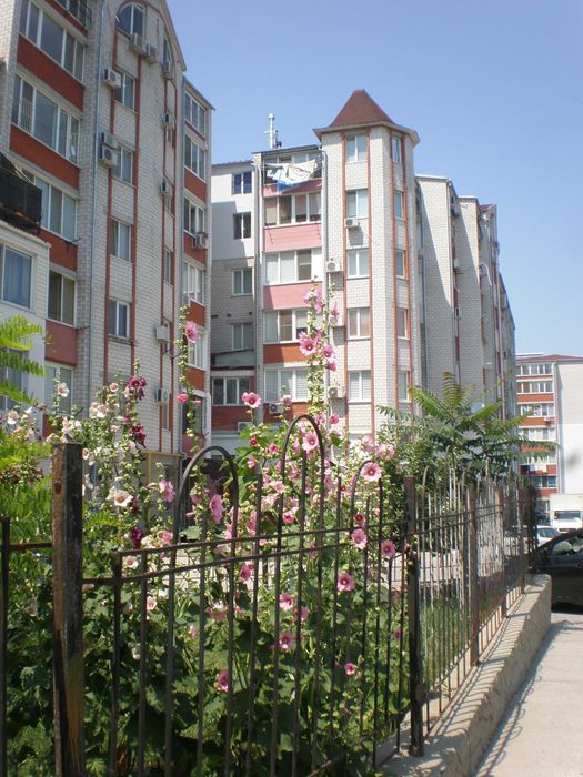 Квартира — Чорноморськ, Одеська область в Одесі, ID 338998, фото №19