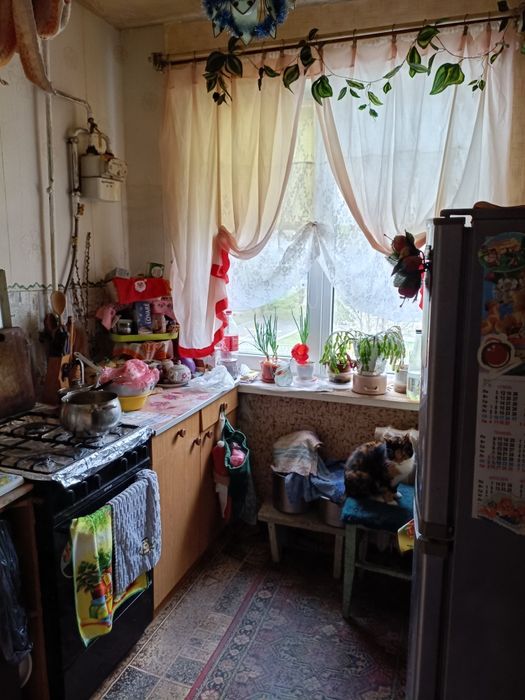 Квартира на Покровський в Кривому Розі, ID 255221, фото №2