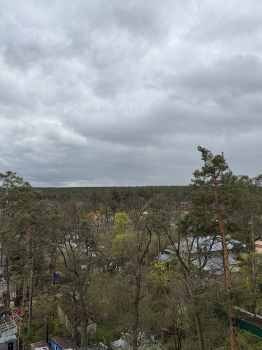 Квартира на вул. Стуса, 64/68 в Київ, ID 234296, фото №2