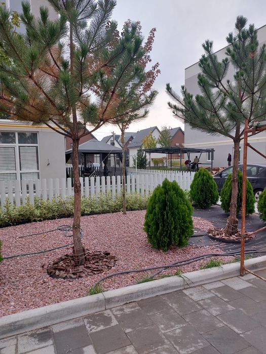 Квартира на ЖК Sanville Park в Києві, ID 308903, фото №12