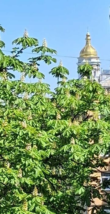 Квартира на вул. Цитадельна, 7 в Києві, ID 208055, фото №22