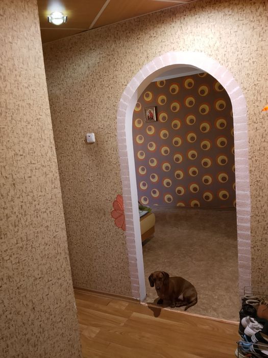 Квартира на вул. Військове містечко, 33 в Кривому Розі, ID 194750, фото №10
