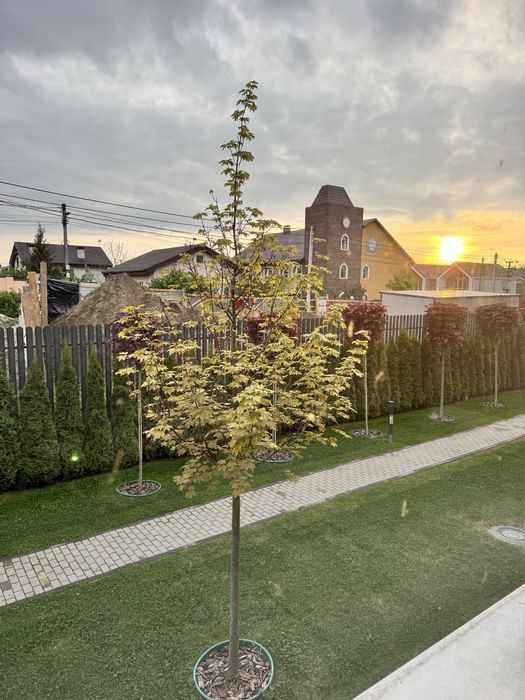 Квартира на ЖК Sunville Park в Києві, ID 308934, фото №14