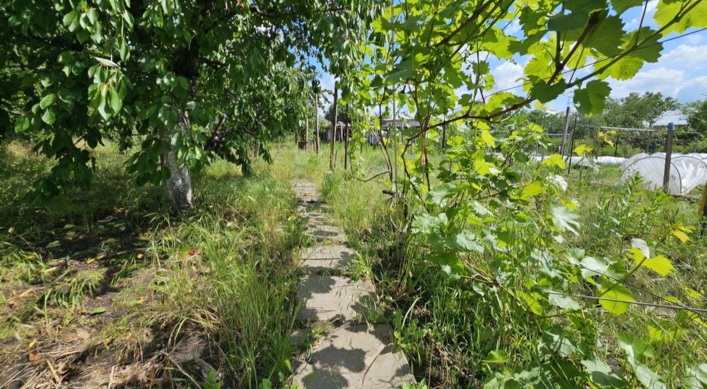 Будинок на вул. Сергія Синенка, ID 416684, фото №5