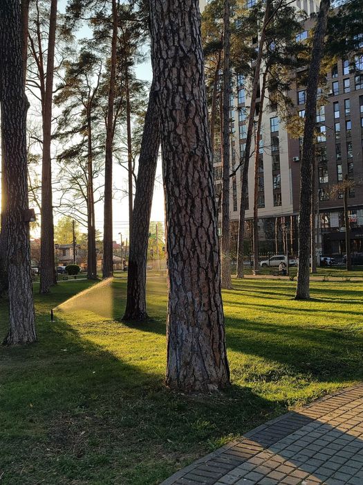 Квартира на вул. Соборна в Києві, ID 240775, фото №11