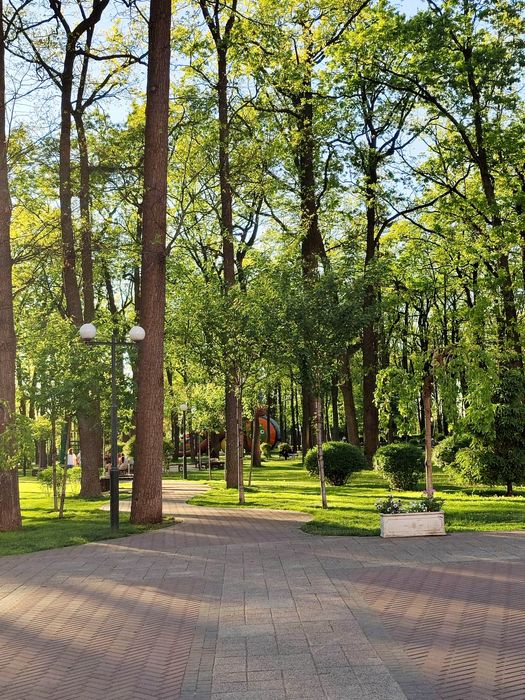 Квартира на вул. Соборна в Києві, ID 240775, фото №12