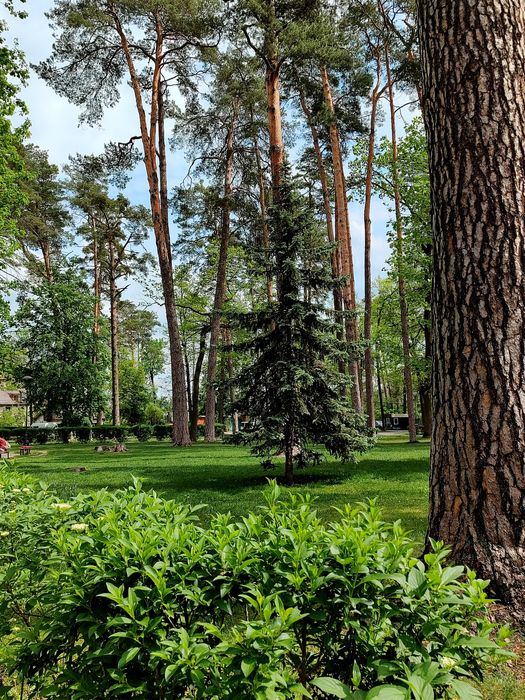 Квартира на вул. Соборна в Києві, ID 240775, фото №15