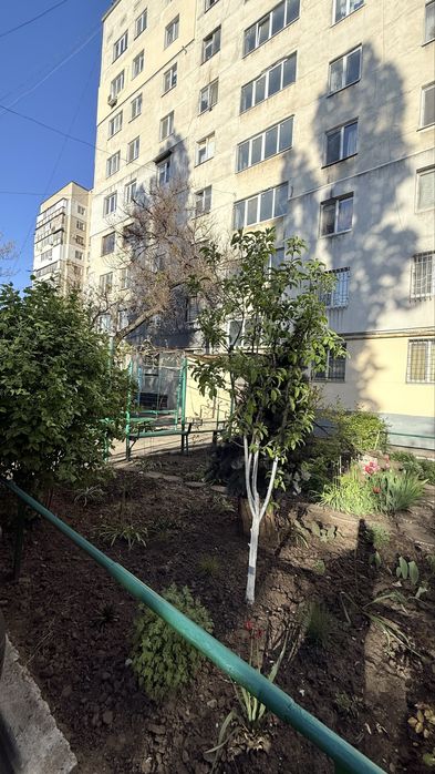 Квартира на вул. Балківська в Одесі, ID 252968, фото №2