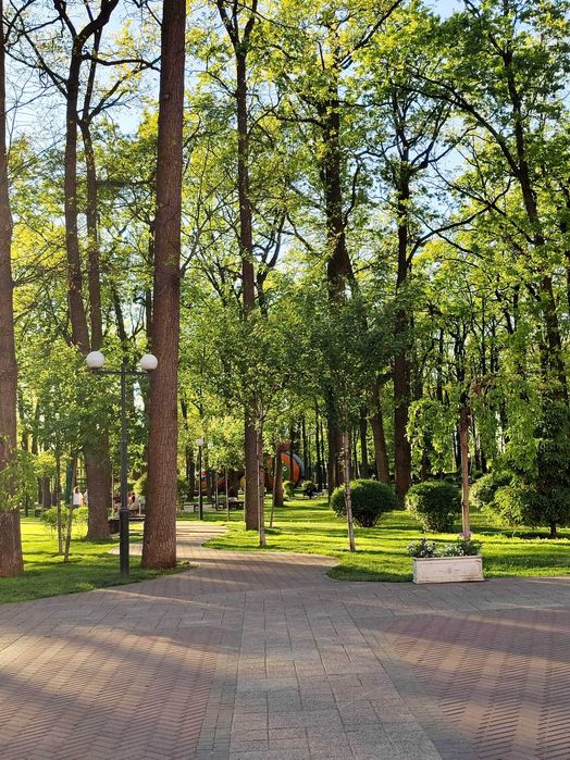 Квартира на вул. Соборна, 151а в Києві, ID 249540, фото №14