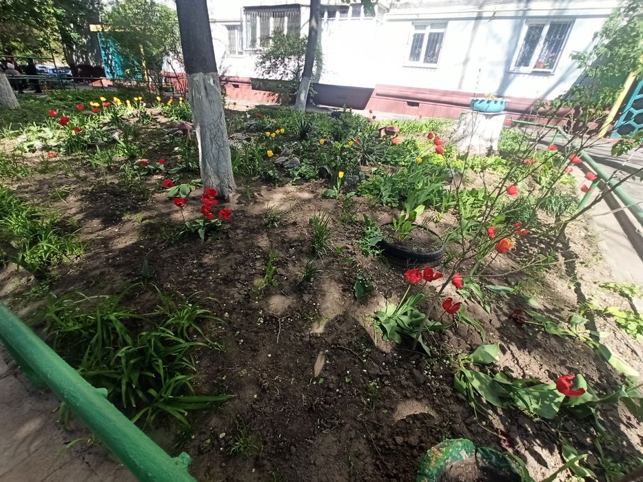 Квартира на вул. Цитрусова, 3 в Запоріжжі, ID 177862, фото №10