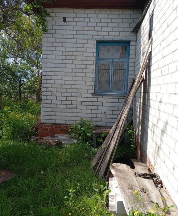 Будинок на Чернігівська область, Піски, ID 423456, фото №3
