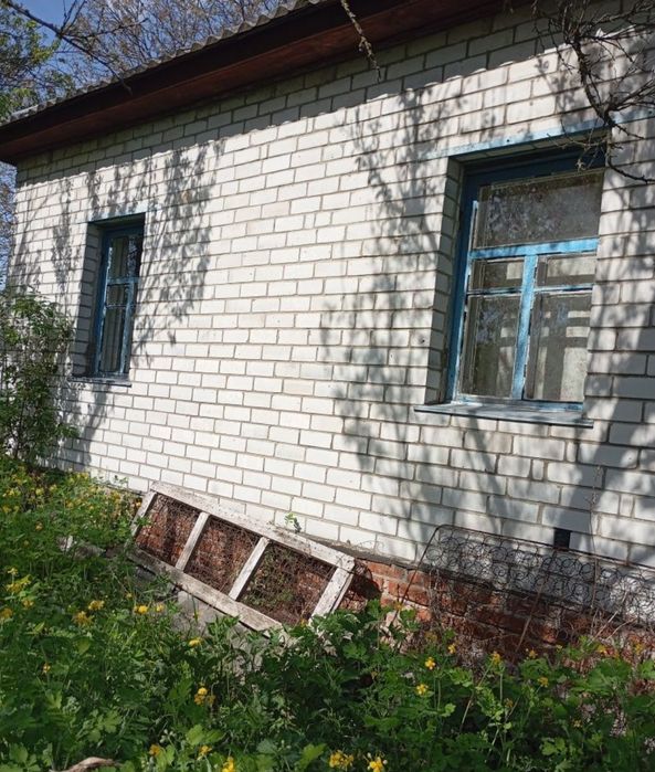 Будинок на Чернігівська область, Піски, ID 423456, фото №4