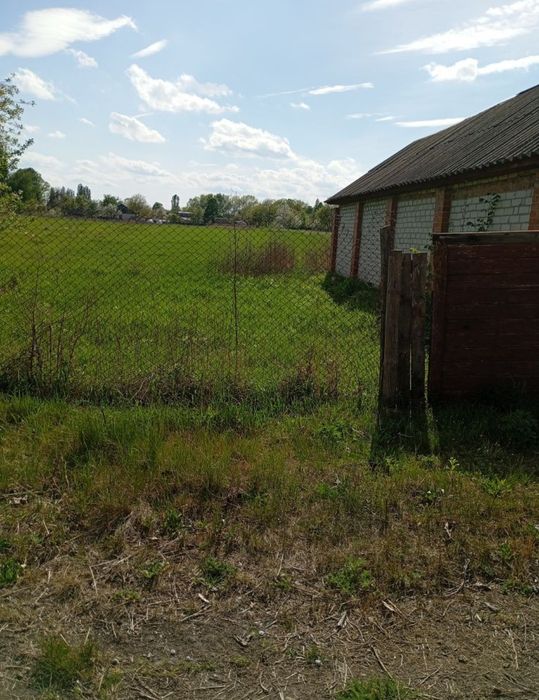 Будинок, Піски у Чернігівській області, ID 423456, фото №8