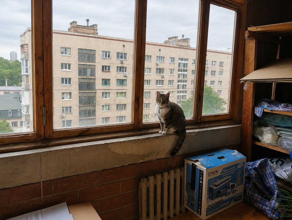 Квартира на вул. Антоновича, 166 в Києві, ID 304001, фото №11