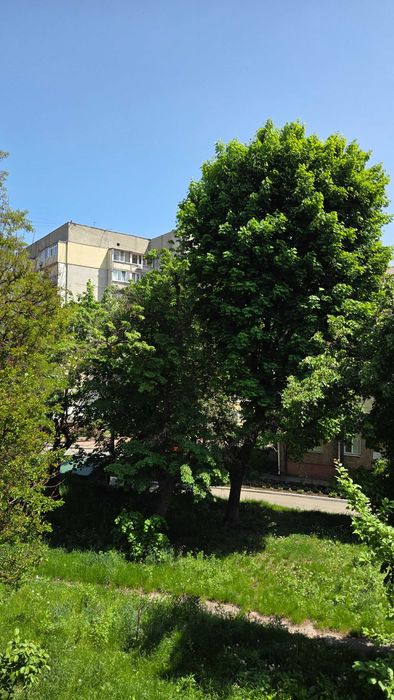 Квартира на вул. Грушевського, 5 в Києві, ID 325963, фото №15