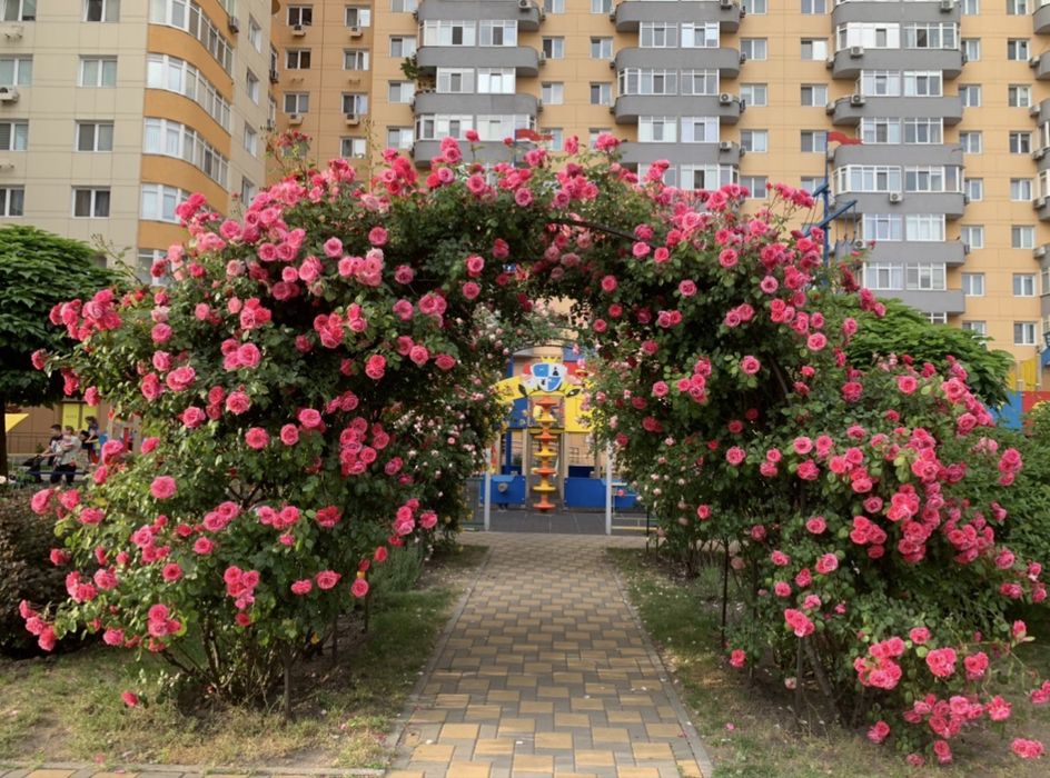 Квартира на вул. Юрія Кондратюка, 5 в Києві, ID 288773, фото №14