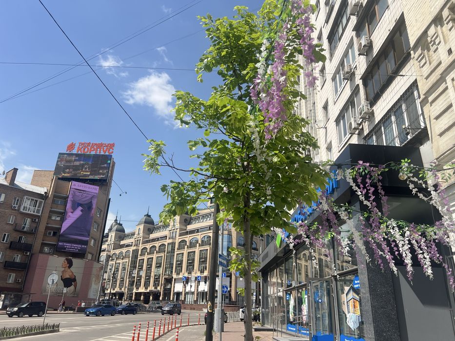 Квартира на вул. Басейна, 11 в Києві, ID 216631, фото №23