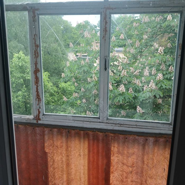 Квартира на вул. Олександра Мацієвського в Чернігові, ID 254739, фото №13